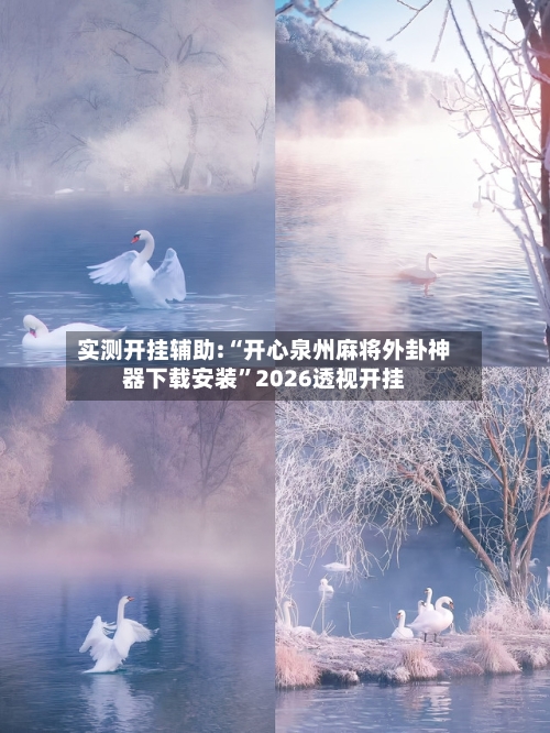 实测开挂辅助:“开心泉州麻将外卦神器下载安装”2026透视开挂-第1张图片