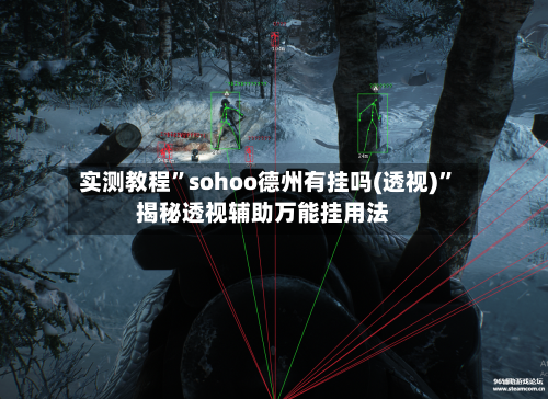 实测教程”sohoo德州有挂吗(透视)”揭秘透视辅助万能挂用法-第1张图片