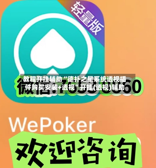 教程开挂辅助“德扑之星系统透视插件购买安装+透视”开挂(透视)辅助-第1张图片