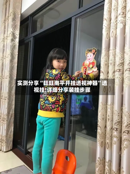 实测分享“旺旺南平开挂透视神器”透视挂!详细分享装挂步骤-第1张图片