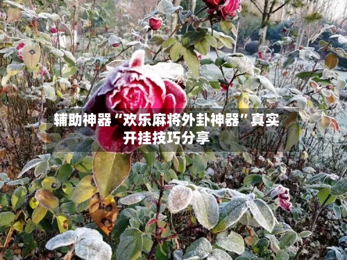 辅助神器“欢乐麻将外卦神器”真实开挂技巧分享-第1张图片