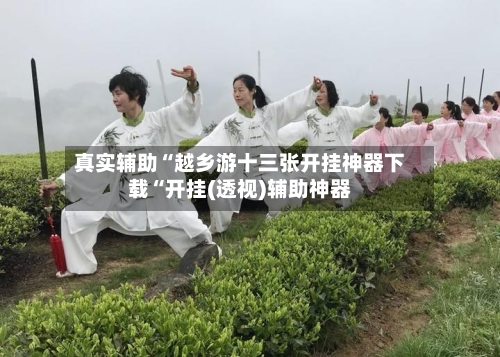 真实辅助“越乡游十三张开挂神器下载“开挂(透视)辅助神器-第1张图片