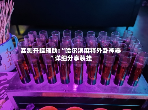 实测开挂辅助:“哈尔滨麻将外卦神器”详细分享装挂-第1张图片