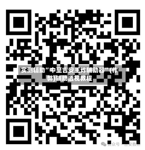 实测辅助	”中至吉安王炸辅助器”(作弊)辅助透视教程-第1张图片