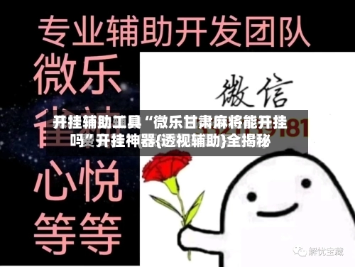 开挂辅助工具“微乐甘肃麻将能开挂吗”开挂神器{透视辅助}全揭秘-第1张图片
