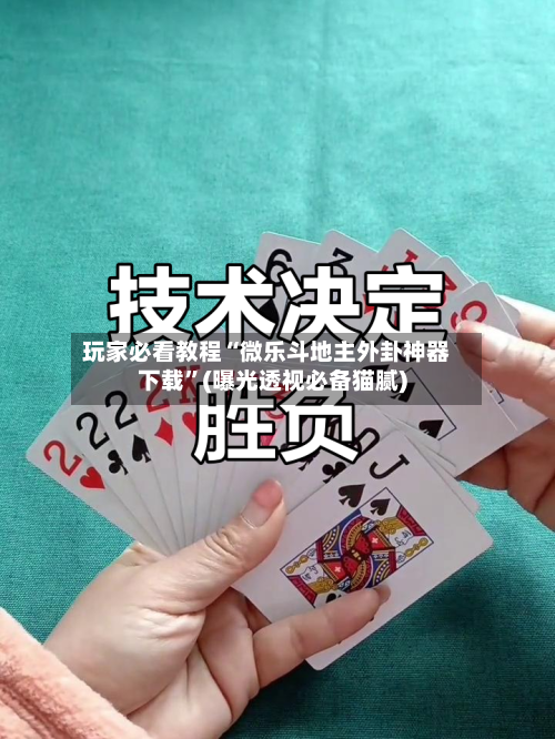 玩家必看教程“微乐斗地主外卦神器下载”(曝光透视必备猫腻)-第1张图片