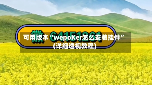 可用版本“wepoKer怎么安装挂件”(详细透视教程)-第1张图片