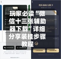 玩家必读“微信十三张辅助器下载	”详细分享装挂步骤教程-第1张图片