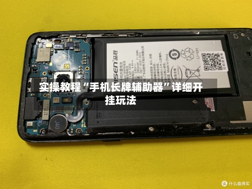 实操教程“手机长牌辅助器	”详细开挂玩法-第1张图片