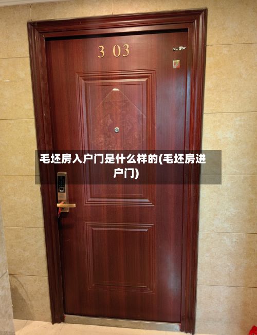 毛坯房入户门是什么样的(毛坯房进户门)-第1张图片