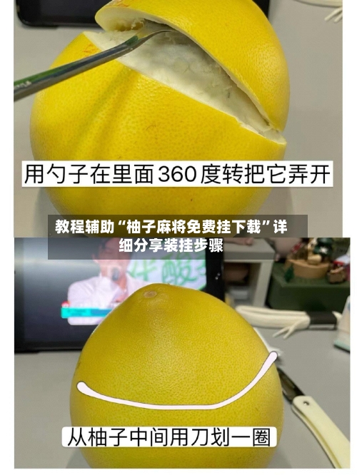 教程辅助“柚子麻将免费挂下载	”详细分享装挂步骤-第1张图片