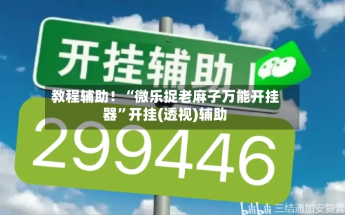 教程辅助！“微乐捉老麻子万能开挂器”开挂(透视)辅助-第1张图片
