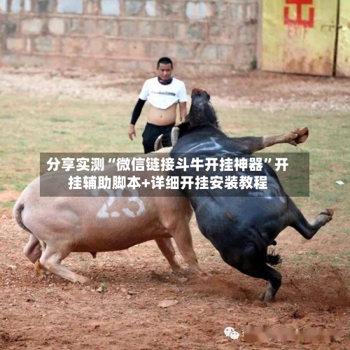 分享实测“微信链接斗牛开挂神器”开挂辅助脚本+详细开挂安装教程-第1张图片