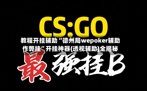 教程开挂辅助“德州局wepoker辅助作弊挂”开挂神器{透视辅助}全揭秘-第1张图片