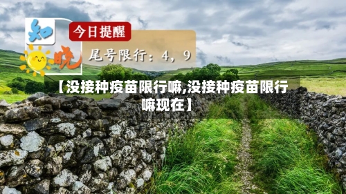 【没接种疫苗限行嘛,没接种疫苗限行嘛现在】-第1张图片