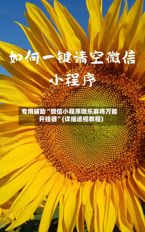 专用辅助“微信小程序微乐麻将万能开挂器”(详细透视教程)-第1张图片