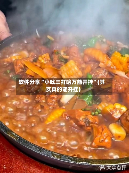 软件分享“小吆三打哈万能开挂	”(其实真的能开挂)-第1张图片