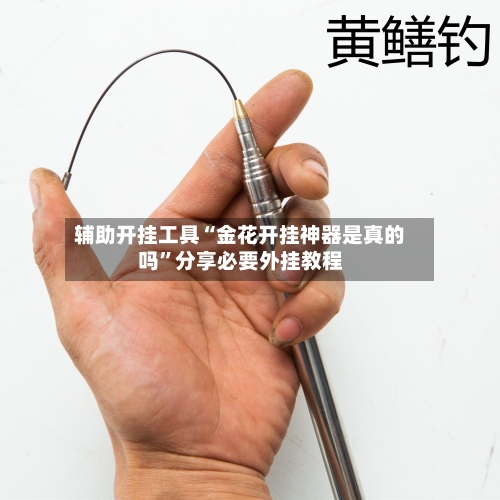 辅助开挂工具“金花开挂神器是真的吗	”分享必要外挂教程-第1张图片