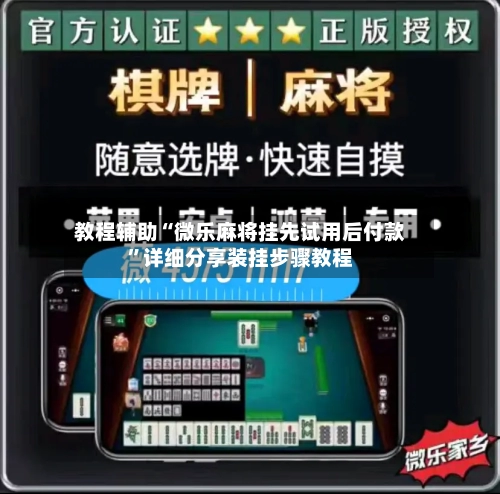 教程辅助“微乐麻将挂先试用后付款”详细分享装挂步骤教程-第1张图片