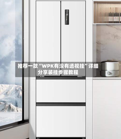 推荐一款“WPK有没有透视挂”详细分享装挂步骤教程-第1张图片