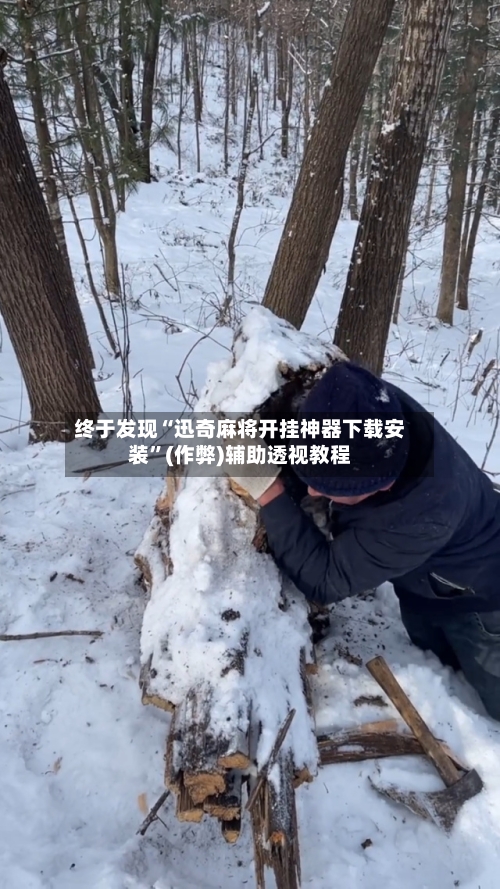 终于发现“迅奇麻将开挂神器下载安装”(作弊)辅助透视教程-第1张图片