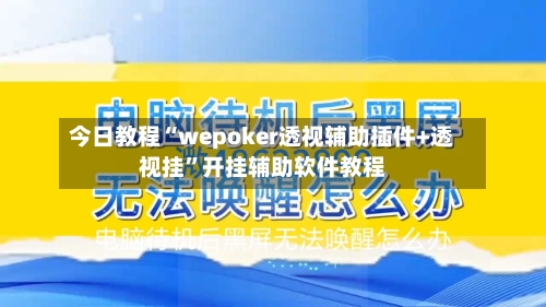 今日教程“wepoker透视辅助插件+透视挂	”开挂辅助软件教程-第1张图片
