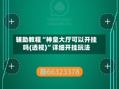 辅助教程“神皇大厅可以开挂吗(透视)	”详细开挂玩法-第1张图片