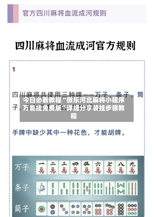 今日必看教程“微乐河北麻将小程序万能挂免费版	”详细分享装挂步骤教程-第1张图片