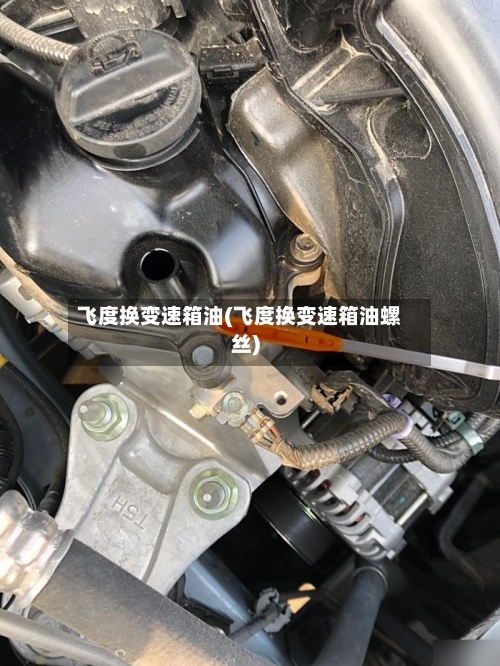 飞度换变速箱油(飞度换变速箱油螺丝)-第1张图片