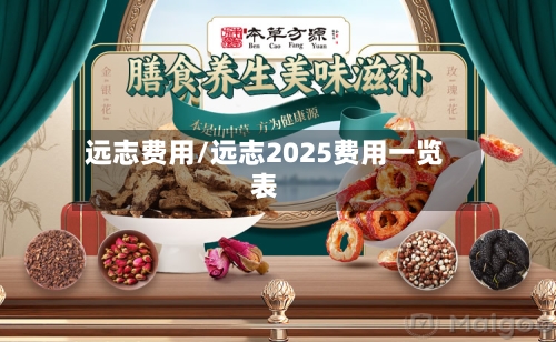 远志费用/远志2025费用一览表-第1张图片