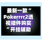 最新一款“Pokerrrr2透视插件购买”开挂辅助脚本+详细开挂安装教程-第1张图片