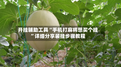 开挂辅助工具“手机打麻将想买个挂”详细分享装挂步骤教程-第1张图片