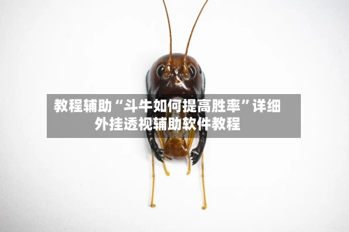 教程辅助“斗牛如何提高胜率	”详细外挂透视辅助软件教程-第1张图片