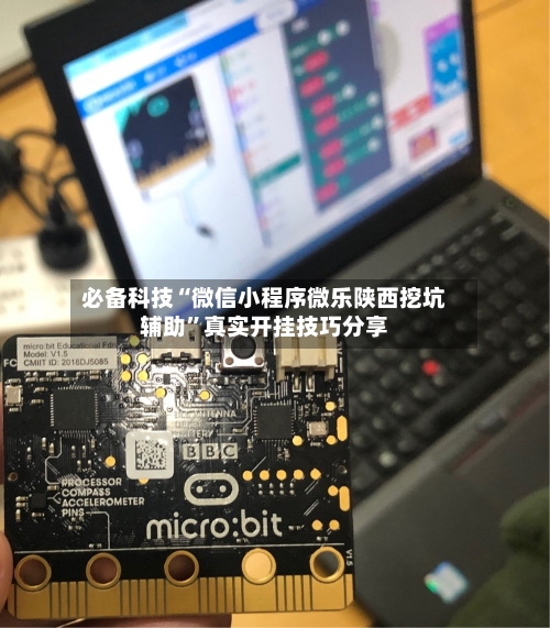 必备科技“微信小程序微乐陕西挖坑辅助	”真实开挂技巧分享-第1张图片