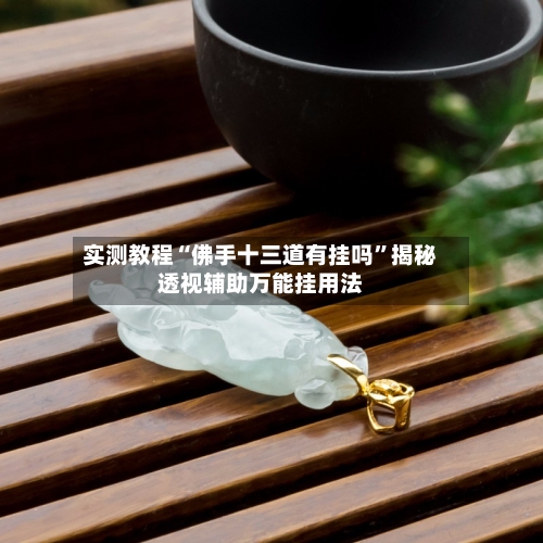 实测教程“佛手十三道有挂吗”揭秘透视辅助万能挂用法-第1张图片