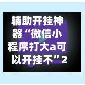 辅助开挂神器“微信小程序打大a可以开挂不	”2026透视开挂-第1张图片
