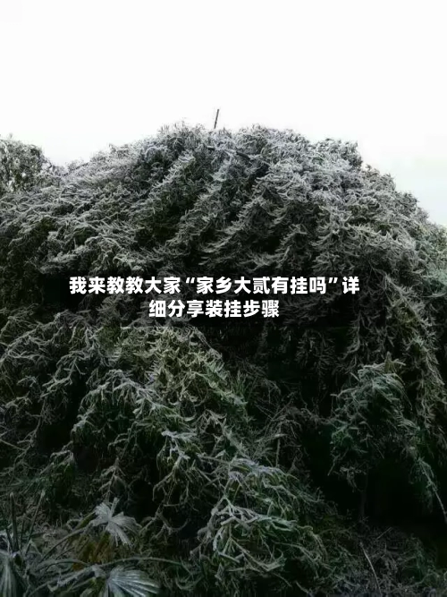 我来教教大家“家乡大贰有挂吗	”详细分享装挂步骤-第1张图片