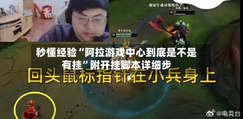 秒懂经验“阿拉游戏中心到底是不是有挂	”附开挂脚本详细步-第1张图片