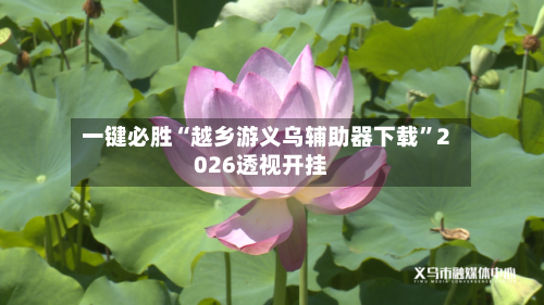 一键必胜“越乡游义乌辅助器下载	”2026透视开挂-第1张图片