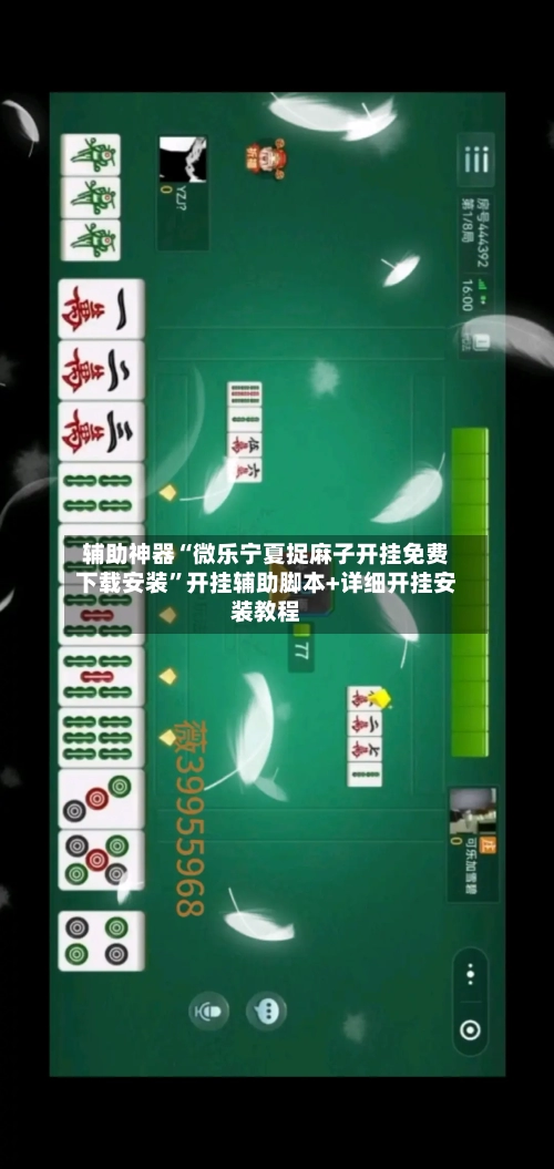 辅助神器“微乐宁夏捉麻子开挂免费下载安装”开挂辅助脚本+详细开挂安装教程-第1张图片