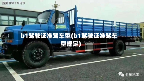 b1驾驶证准驾车型(b1驾驶证准驾车型规定)-第1张图片