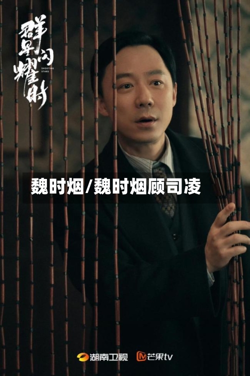 魏时烟/魏时烟顾司凌-第1张图片
