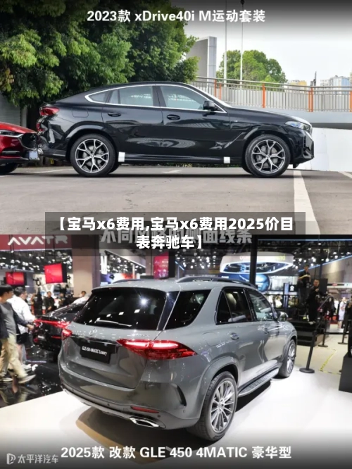 【宝马x6费用,宝马x6费用2025价目表奔驰车】-第1张图片