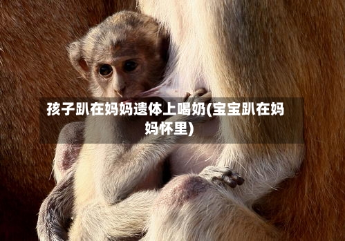 孩子趴在妈妈遗体上喝奶(宝宝趴在妈妈怀里)-第1张图片