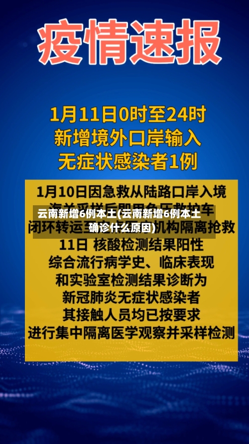云南新增6例本土(云南新增6例本土确诊什么原因)-第1张图片