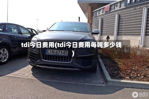 tdi今日费用(tdi今日费用每吨多少钱)-第1张图片