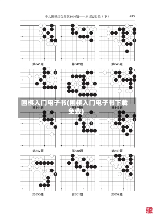 围棋入门电子书(围棋入门电子书下载免费)-第1张图片