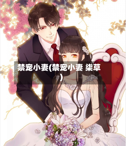 禁宠小妻(禁宠小妻 柒草)-第1张图片