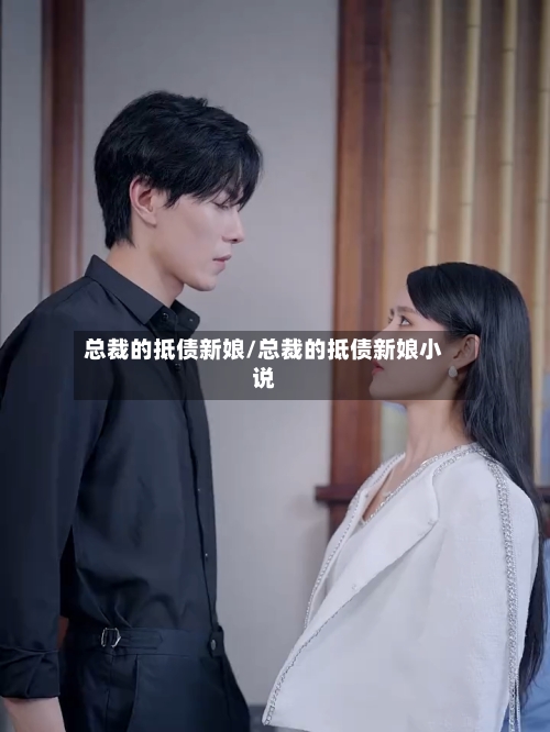 总裁的抵债新娘/总裁的抵债新娘小说-第1张图片