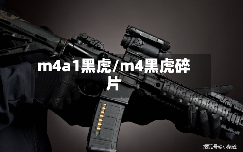 m4a1黑虎/m4黑虎碎片-第1张图片